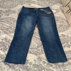 Democracy Womens “Ab Tech” jeans. High Rise Skinny “Mold & Hold”